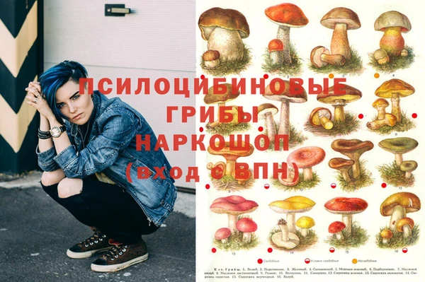кокс Абинск